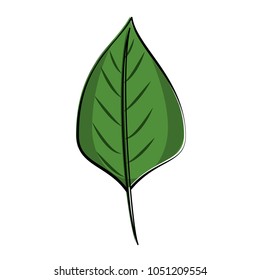 Leaf eco symbol