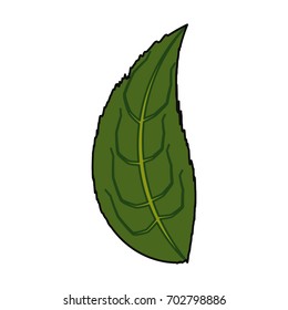 Leaf eco symbol