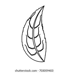 Leaf eco symbol