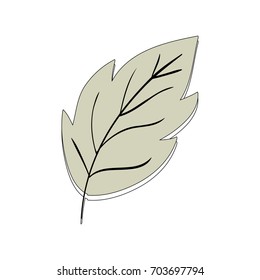 Leaf eco symbol