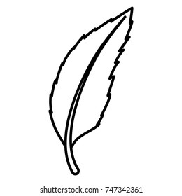 Leaf eco symbol