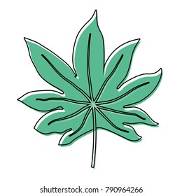 Leaf eco symbol