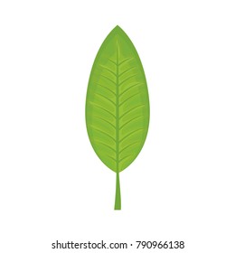 Leaf eco symbol