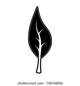 Leaf eco symbol icon vector illustration graphic design