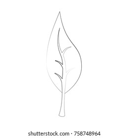 Leaf eco symbol icon vector illustration graphic design