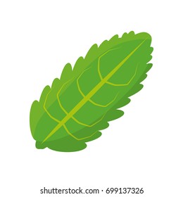 Leaf eco symbol vector illustration