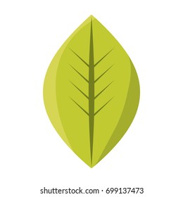 Leaf eco symbol vector illustration