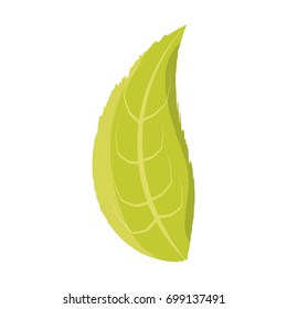 Leaf eco symbol vector illustration