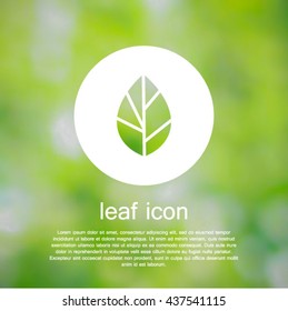 Leaf. Eco. White icon on green background.