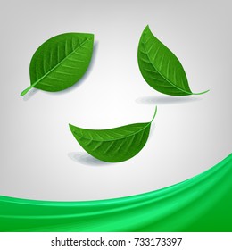 leaf ecology