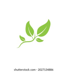 leaf ecology  icon vector illustration template design