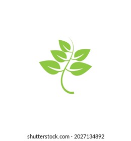 Vektorgrafik-Vektorgrafik-Vorlagendesign
