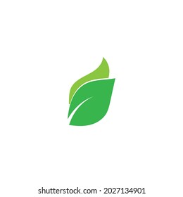 leaf ecology  icon vector illustration template design