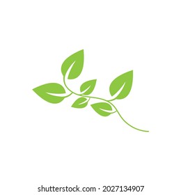 diseño de ilustraciones vectoriales de iconos de ecología de hoja