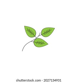 leaf ecology  icon vector illustration template design