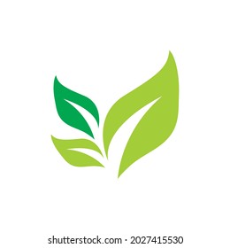leaf ecology  icon vector illustration template design