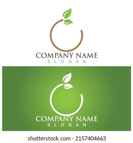 leaf ecology  icon vector illustration template design