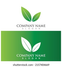 leaf ecology  icon vector illustration template design