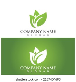 leaf ecology  icon vector illustration template design