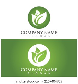 leaf ecology  icon vector illustration template design