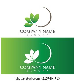 leaf ecology  icon vector illustration template design