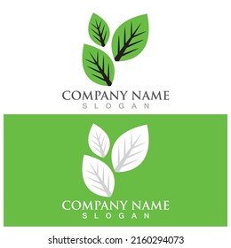 leaf ecology  icon vector illustration template design