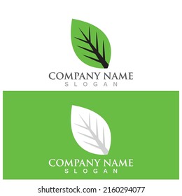 leaf ecology  icon vector illustration template design