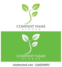 leaf ecology  icon vector illustration template design