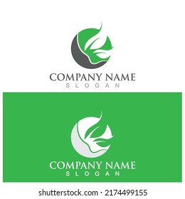 leaf ecology  icon vector illustration template design