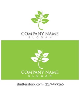 leaf ecology  icon vector illustration template design