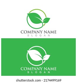 leaf ecology  icon vector illustration template design