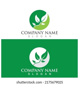 leaf ecology  icon vector illustration template design