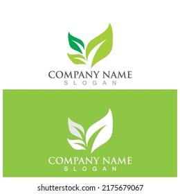 leaf ecology  icon vector illustration template design