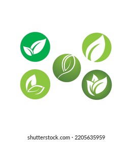 leaf ecology  icon vector illustration template design