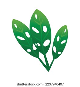 leaf ecology  icon vector illustration template design