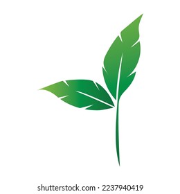 leaf ecology  icon vector illustration template design