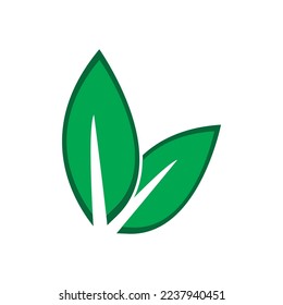 leaf ecology  icon vector illustration template design