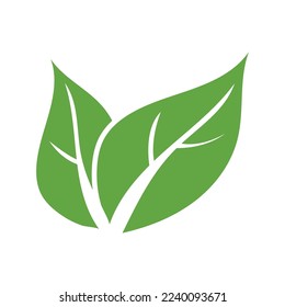 leaf ecology  icon vector illustration template design