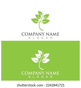 leaf ecology  icon vector illustration template design