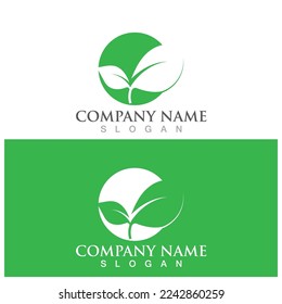 leaf ecology  icon vector illustration template design