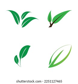 diseño de ilustraciones vectoriales de iconos de ecología de hoja