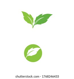 Leaf  ecology Logo Template vector symbol nature