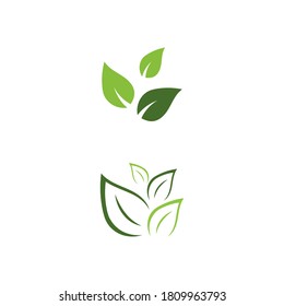 Naturaleza del símbolo del vector de la plantilla de logotipo ecológico de la hoja