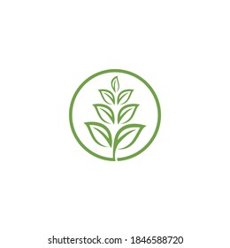 Leaf  ecology Logo Template vector symbol nature