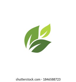 Leaf Ecology Logo Template Vector Symbol Stock Vector (Royalty Free ...