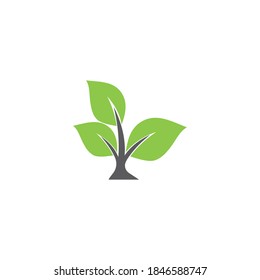 Leaf  ecology Logo Template vector symbol nature