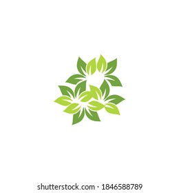 Leaf  ecology Logo Template vector symbol nature