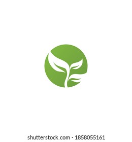 Leaf  ecology Logo Template vector symbol nature