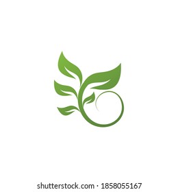 Leaf  ecology Logo Template vector symbol nature