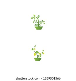 Leaf  ecology Logo Template vector symbol nature